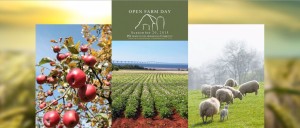 Open Farm Day 2015