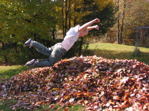 Pile-of-Leaves