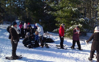 PEI Winter Woodlot Tour